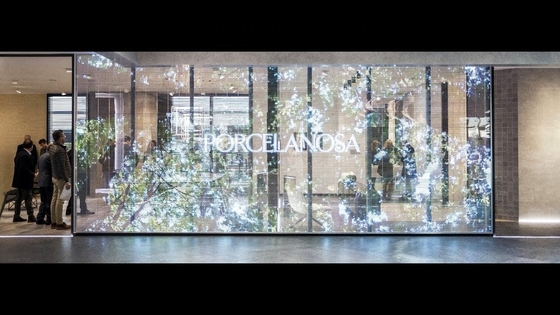 Customized HD Transparent LED Display Full Color Easy Maintenance Soft Convenient
